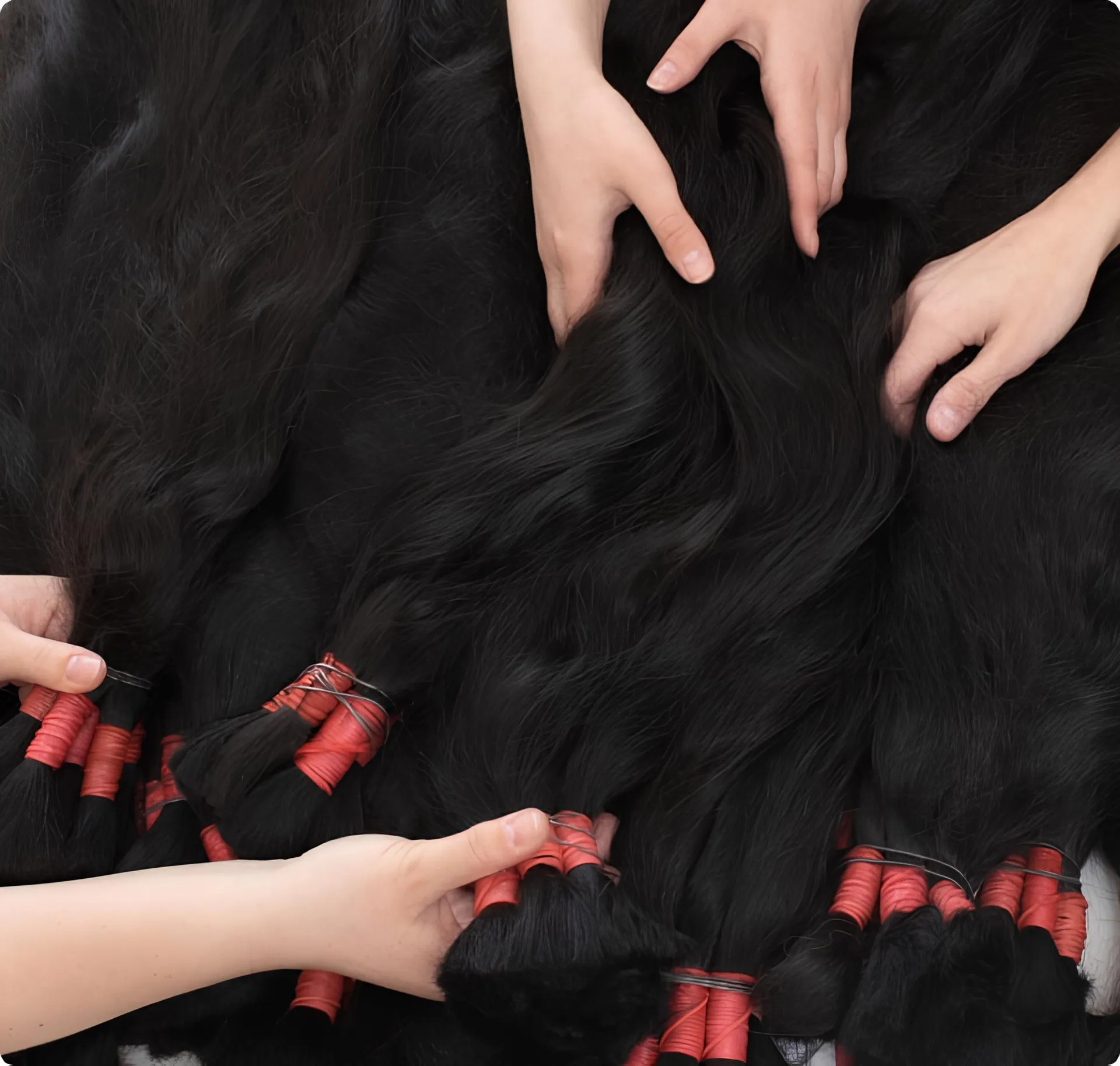Bunches of long dark hair laid out on a table are being inspected.