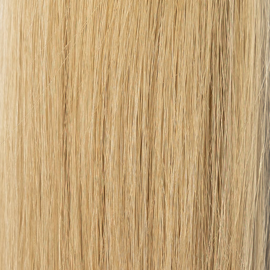 PREMIUM COLOUR #9.01