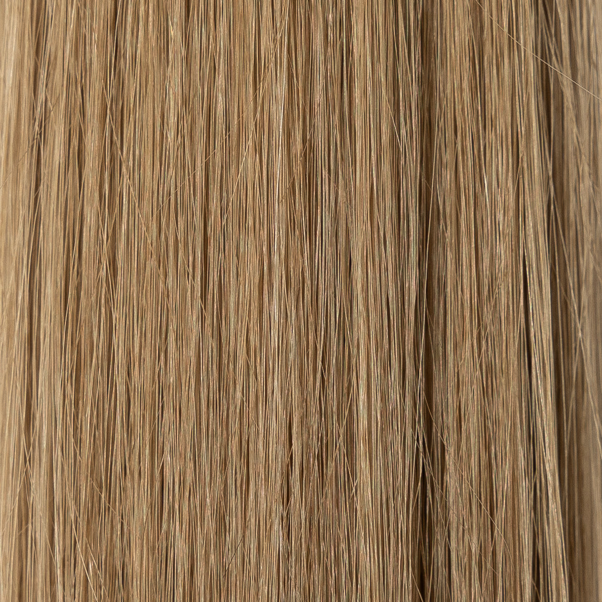 PREMIUM COLOUR #8.1